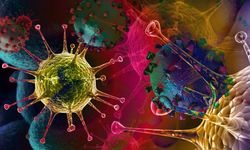 Doktorlar Uyardı, Kabus Geri Dönüyor