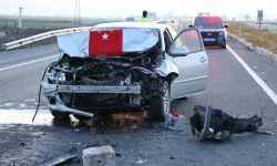 Haç Yolunda Hayatını Kaybetti