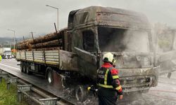 Tomruk yüklü tır alev aldı