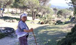 Çine'nin Son Keçi Çobanı 60 Yaşındaki Rukiye Nine