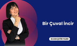 Bir Çuval İncir