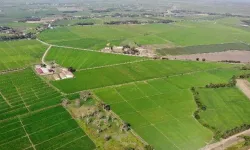 Resmi Gazete’de Yayımlandı; Arazi Toplulaştırması Başlıyor