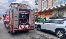 Dumanları Gören Yaşlı Kadın Fenalaştı