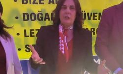 Çerçioğlu’ndan Özel’e: “Hadi be oradan”