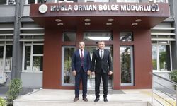 Kestane Ağaçlarında Biyolojik Mücadele