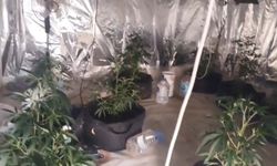 22 Kilogram Uyuşturucu Ele Geçirildi
