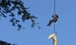 Timsahın Midesinden Çıkanlar Şaşkınlık Yarattı