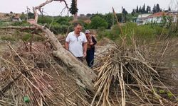Tarihi Taş Köprüde Yıkılma Tehlikesiyle Karşı Karşıya