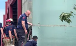 Akıllara Durgunluk Veren Ölüm