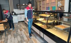 Turizm Sezonu Öncesi Gıda Denetimİ