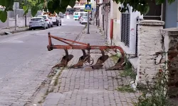 Yaya Yolunda Demir Tuzağı