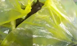 Bu Kadarına da Pes ! Bunu Yapan İnsan Olmaz