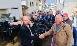 Kurban Pazarları Hareketlendi