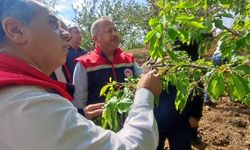 Dolu Vurdu, Tarım Ekipleri Sahaya İndi
