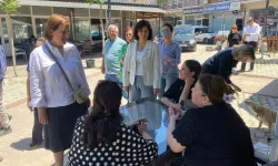 CHP’den “Saha Çalışmaları Sürecek” Mesajı