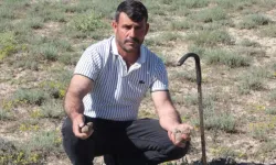 Topladığı Mantarla Servet Sahibi Oldu
