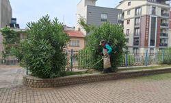Efeler’de Parklarda Yoğun Mesai