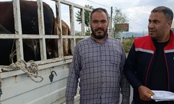 Kurbanlık Nakil Yol Kontrolleri Yapıldı