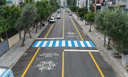 Büyükşehir, Fidanlık Caddesi'ni Yeniledi