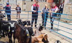 Kurban Satış Yerleri Denetlendi