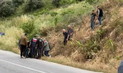 Odun Toplamak İçin Gittiği Arazide Ölü Bulundu