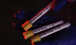 Ebola Salgını Hastaneleri Felç Etti
