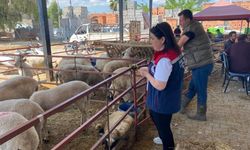Kurban Bayramı Boyunca Denetimler Sürecek