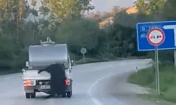 Bu Nasıl Bir Vicdan?