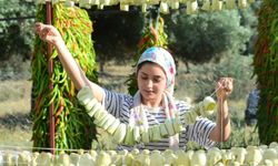 Sebze Oymacılığı "Bacasız Fabrikaya" Dönüştü