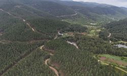 Aydın'ın Uludağ'ı Cazibe Merkezi Oldu