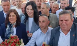 Çerçioğlu’na Çilek Üreticilerinden Bayram Hediyesi
