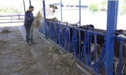 Avukatlık’tan Hayvan Çiftliğine Uzanan Hikaye