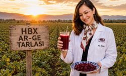 HBX Academy, Kırmızı Pancarı Laboratuvara Aldı
