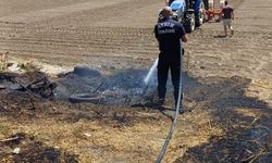 Arazi yangını büyümeden söndürüldü