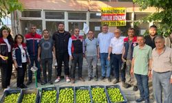 İlek Pazarı Denetimleri Aralıksız Sürüyor