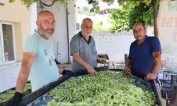 Üreticiden "Devlet Desteği ve Fabrika" Çağrısı