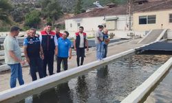 Bozdoğan'da su ürünleri üretimi 3 bin 696 tona ulaştı
