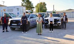 İlaçlama çalışmaları yeniden başladı