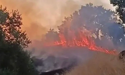Muhtar Uyardı: Kuru Otları Temizleyin!