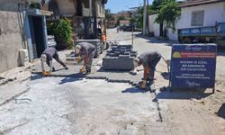 Germencik'te çevre düzenleme çalışmaları sürüyor