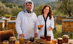 HBX Academy’nin Gizemli Arıları