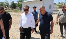 Sokak hayvanları için yeni yaşam alanı