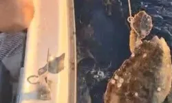 Böyle Vicdansızlık Görülmedi
