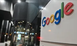 Google’nin Sivrisinek Kararı Şaşırttı