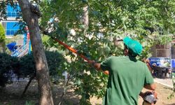 Efeler’in park ve yeşil alanlarında düzenliyor