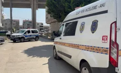 Abi Kardeş Kavgasında Kan Aktı