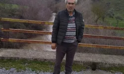 Zeytinlik Alanda Acı Son