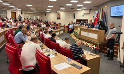CHP’li Tetik’ten Meclis’e Teşekkür