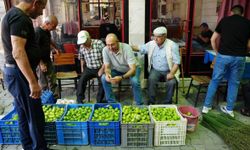 İlek Üreticisi de Alıcısı da Şaşkın