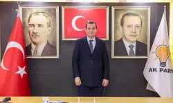 AK Partili Başkan’dan Efelerin Yollarına Tepki